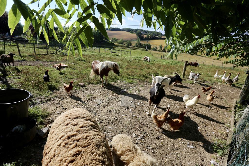 La Ferme Couderc Villa Castelnaud-de-Gratecambe Exteriör bild