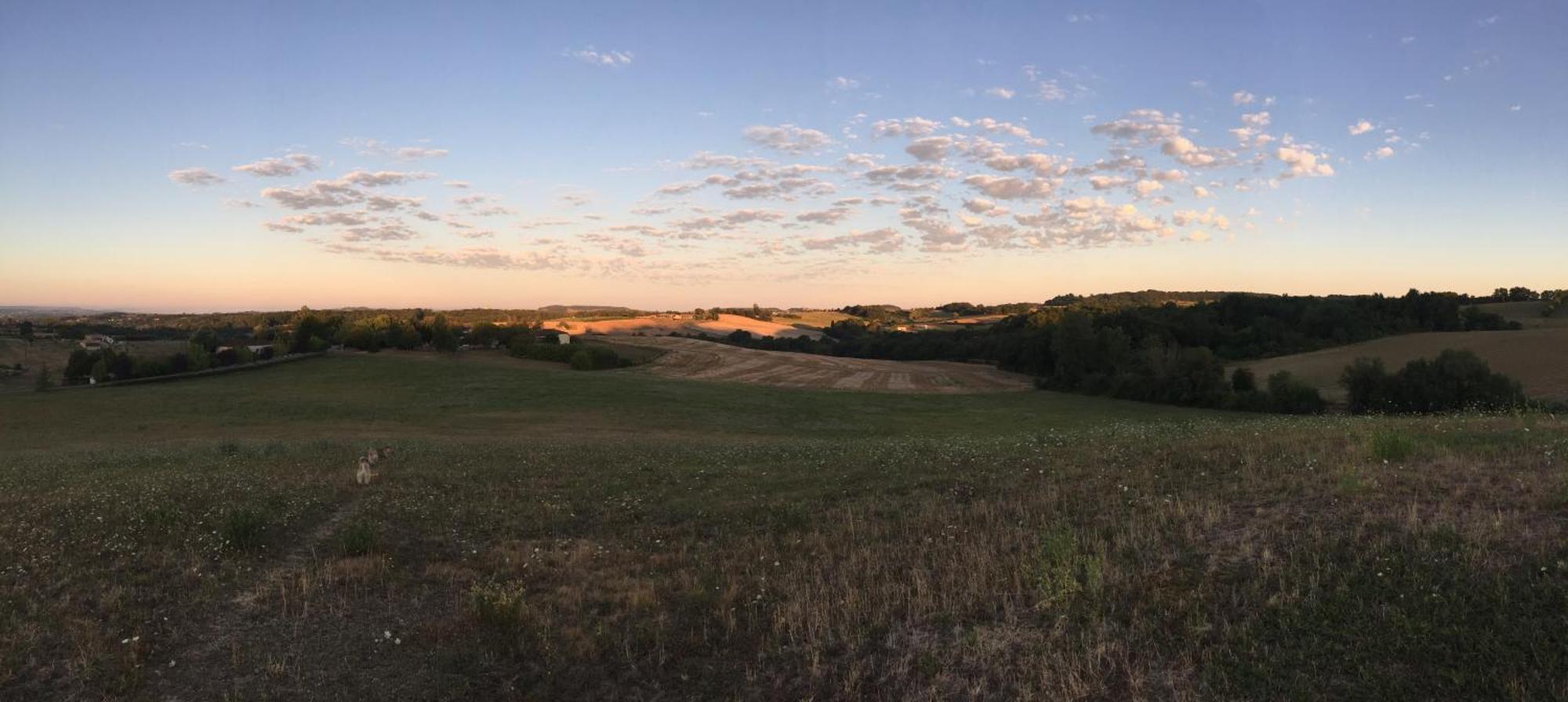 La Ferme Couderc Villa Castelnaud-de-Gratecambe Exteriör bild