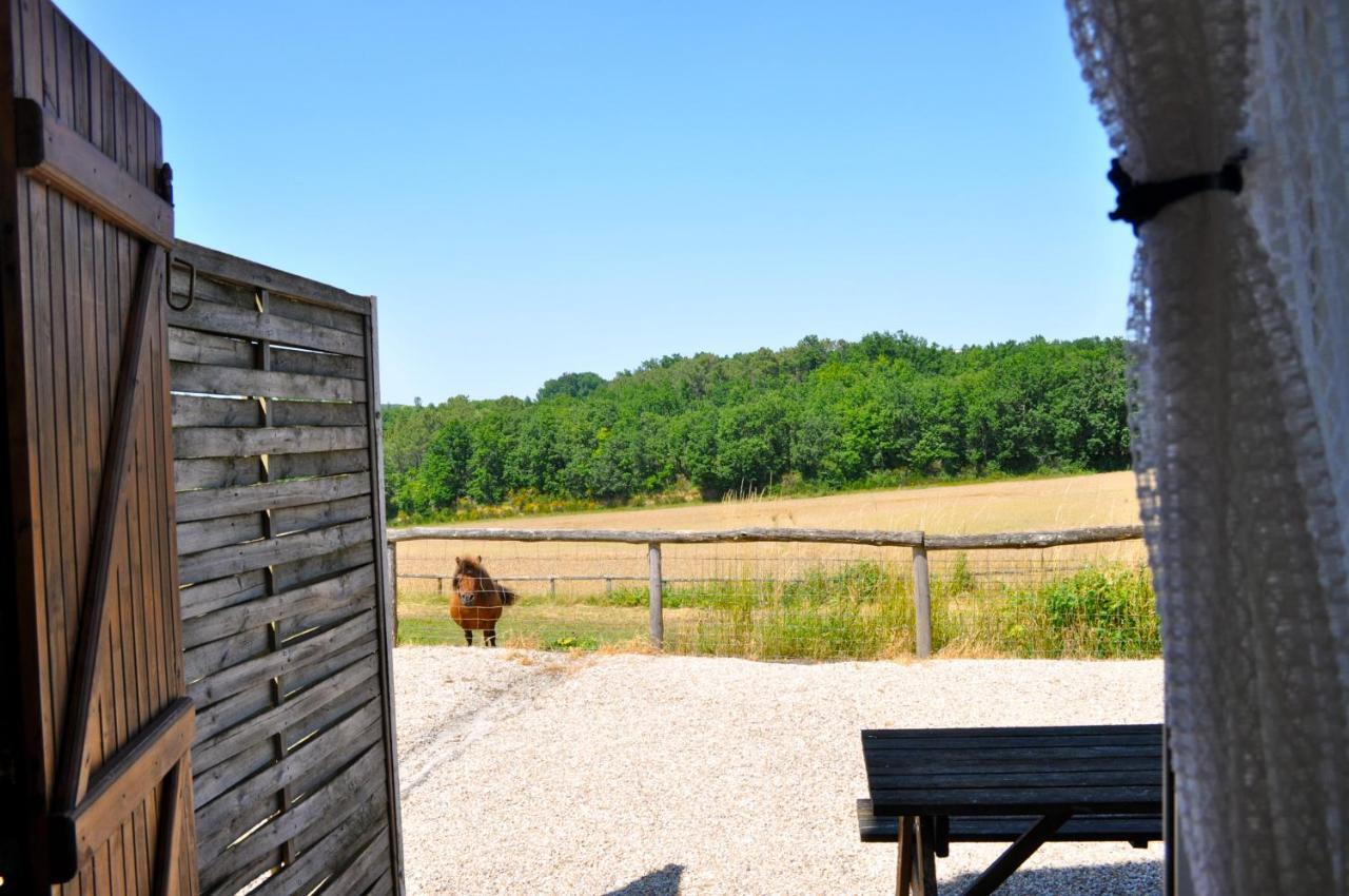 La Ferme Couderc Villa Castelnaud-de-Gratecambe Exteriör bild